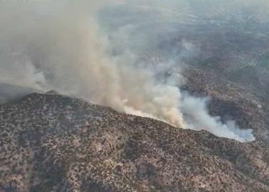 Incendio forestal en Ímuris: Continúan labores de combate