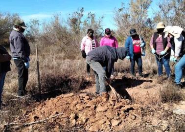 VIDEO | Madres Buscadoras de Sonora con miedo ante asesinato de agente que las protegía