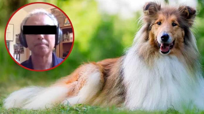 Maestro galardonado es acusado de abusar de su perro Maestro galardonado es acusado de abusar de su perro