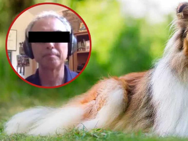 Maestro galardonado es acusado de abusar de su perro Maestro galardonado es acusado de abusar de su perro