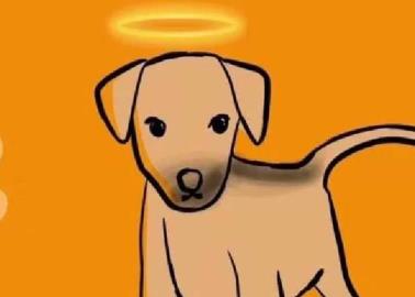 Exigen justicia para "Huellitas", perrito adoptado por una adolescente presuntamente para torturarlo y matarlo
