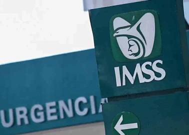Estos beneficios te ofrece la Modalidad 33 del IMSS que no te da la Modalidad 40