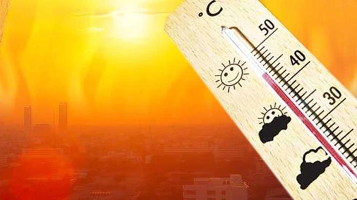 Ola de calor causa casi 170 muertes Ola de calor causa casi 170 muertes
