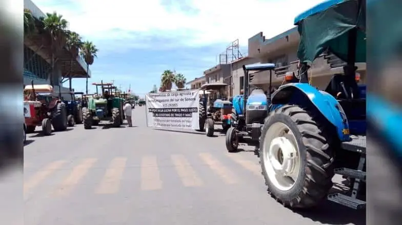 Productores de trigo y maíz definirán este miércoles nuevas acciones a seguir