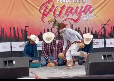 En Huatabampo, Sonora se realiza con éxito la Feria de la Pithaya