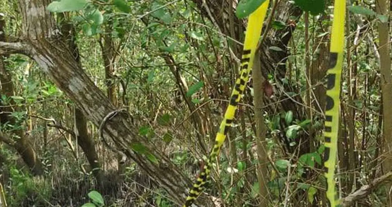 Localizan fosa clandestina con 17 cuerpos