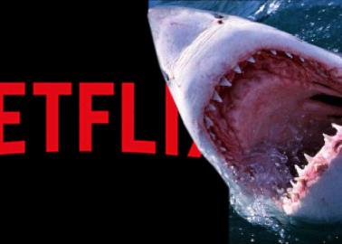 Netflix sufre ataque de tiburones