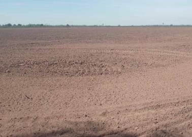 Jornaleros sin trabajo Jornaleros sin trabajo