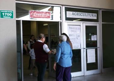 Pensión para el Bienestar. Continúa la incorporación de adultos mayores al programa en Cajeme