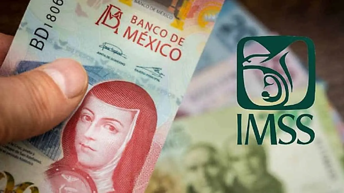Pensión IMSS: ¿Cuándo depositan el pago de julio 2023?