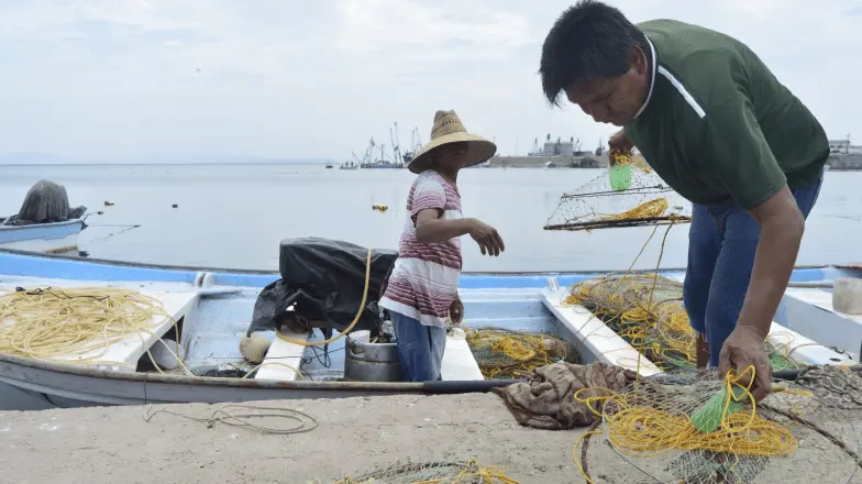 Pescadores de Yavaros zarpan con fe a la captura de jaiba