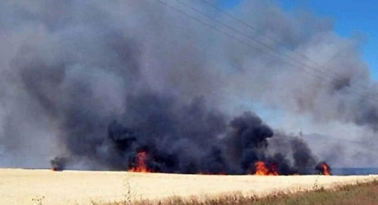 Sigue la quema de gavilla en el Valle del Mayo