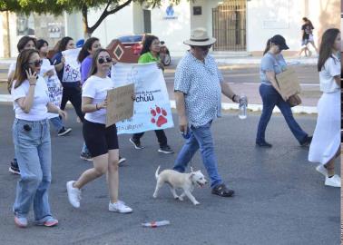Marchan por sus mascotas Marchan por sus mascotas