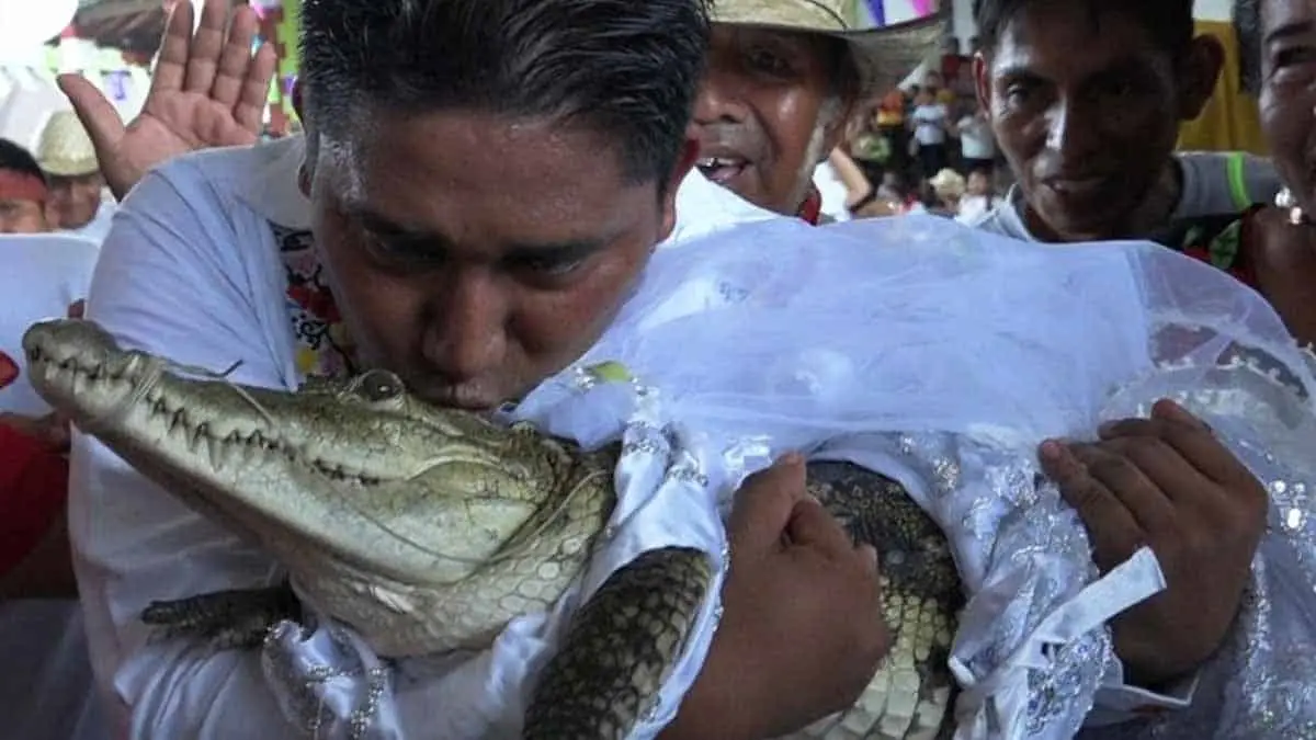VIDEO | Alcalde de Oaxaca se casa... ¡con un caimán!