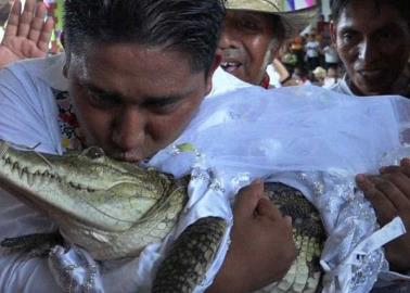 VIDEO | Alcalde de Oaxaca se casa... ¡con un caimán!