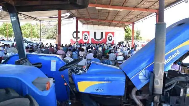 Productores agrícolas mantienen la lucha; demandan precios rentables