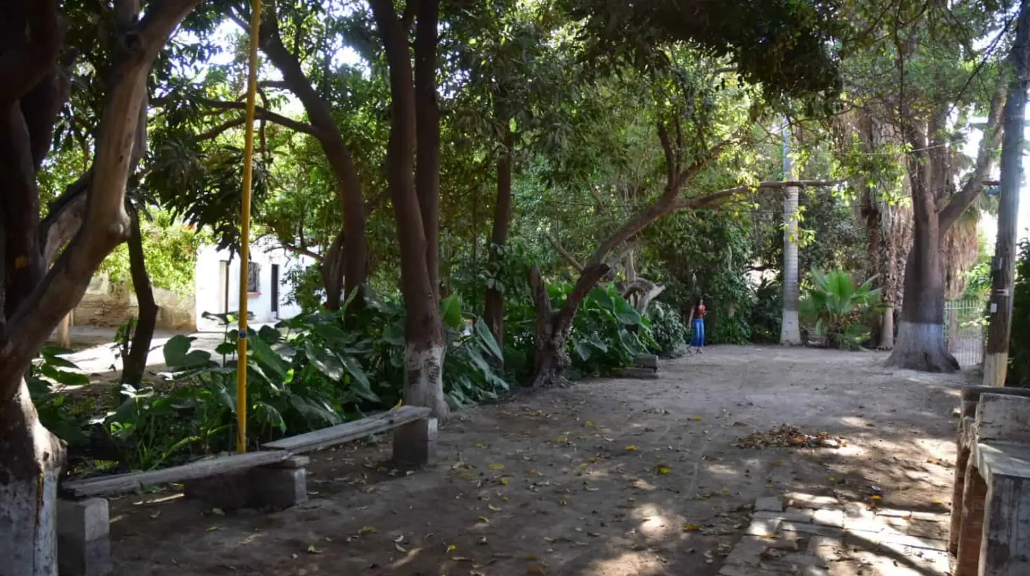 Cócorit. La última acequia del lugar; nostalgia del ayer ¿recuerdas alguna?