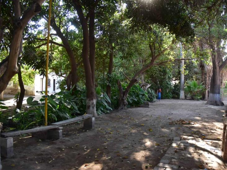 Cócorit. La última acequia del lugar; nostalgia del ayer ¿recuerdas alguna? Cócorit. La última acequia del lugar; nostalgia del ayer ¿recuerdas alguna?