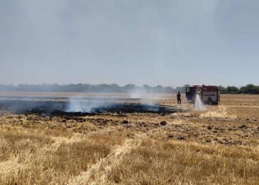 Quema de gavilla en el sur de Sonora. Impunidad pese a daños evidentes