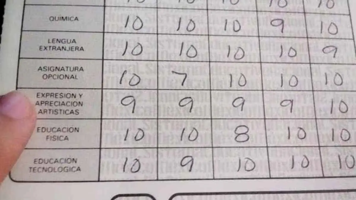 Entrega de boletas: cuándo y cómo descargarla en internet