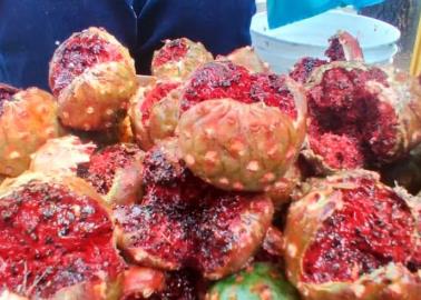 Mujeres Yaquis elaboran mermelada de pithaya con receta ancestral