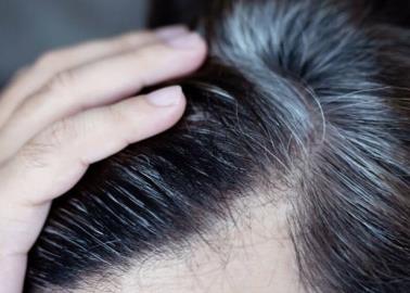 C&oacute;mo cubrir las canas de forma natural en 30 minutos