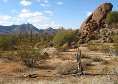 El desierto de Sonora, ¿es el lugar más caliente de la Tierra?