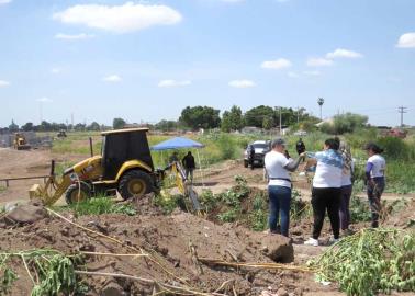 Guerreras Buscadoras siguen trabajando a espaldas del SAT de Ciudad Obregón