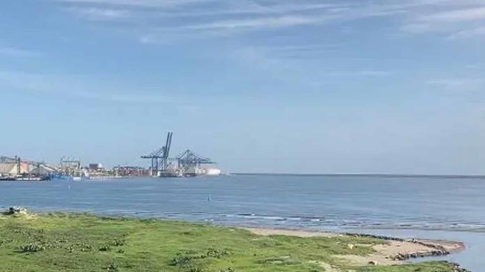 Localizan restos humanos en playas cercanas al desplome de avioneta en Veracruz Localizan restos humanos en playas cercanas al desplome de avioneta en Veracruz