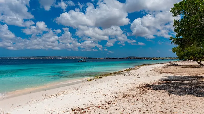 Cofepris: playas no recomendadas para nadar en estas vacaciones de verano. Aquí la lista