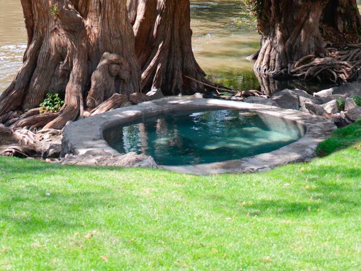 Profeco recomienda estos balnearios para estas vacaciones de verano. Aquí la lista Profeco recomienda estos balnearios para estas vacaciones de verano. Aquí la lista