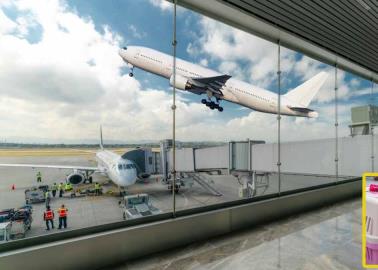 Recomendaciones de Profeco para viajar en avión con tu mascota