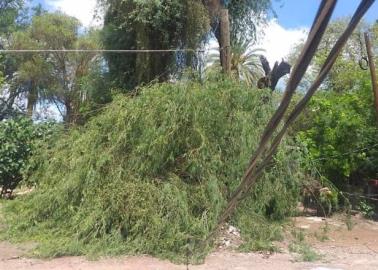 Vientos fuertes se esperan en estas zonas de Sonora
