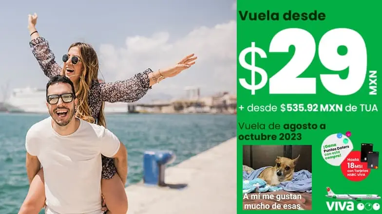 Viva Aerobús. Estos son los términos y condiciones para viajar desde 29 pesos
