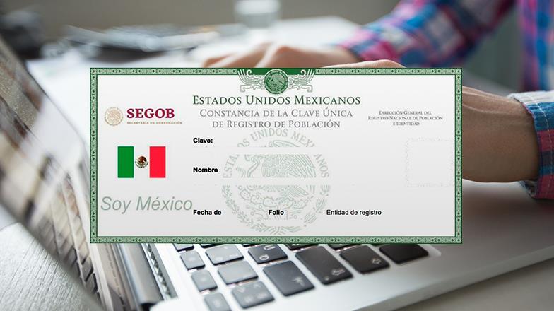 Diario Del Yaqui Regresos A Clases ¿cómo Saber Si Mi Curp Está Certificada Para Hacer Mis 8923