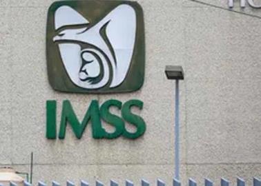 IMSS: ¿Cuántas personas puede asegurar un trabajador?