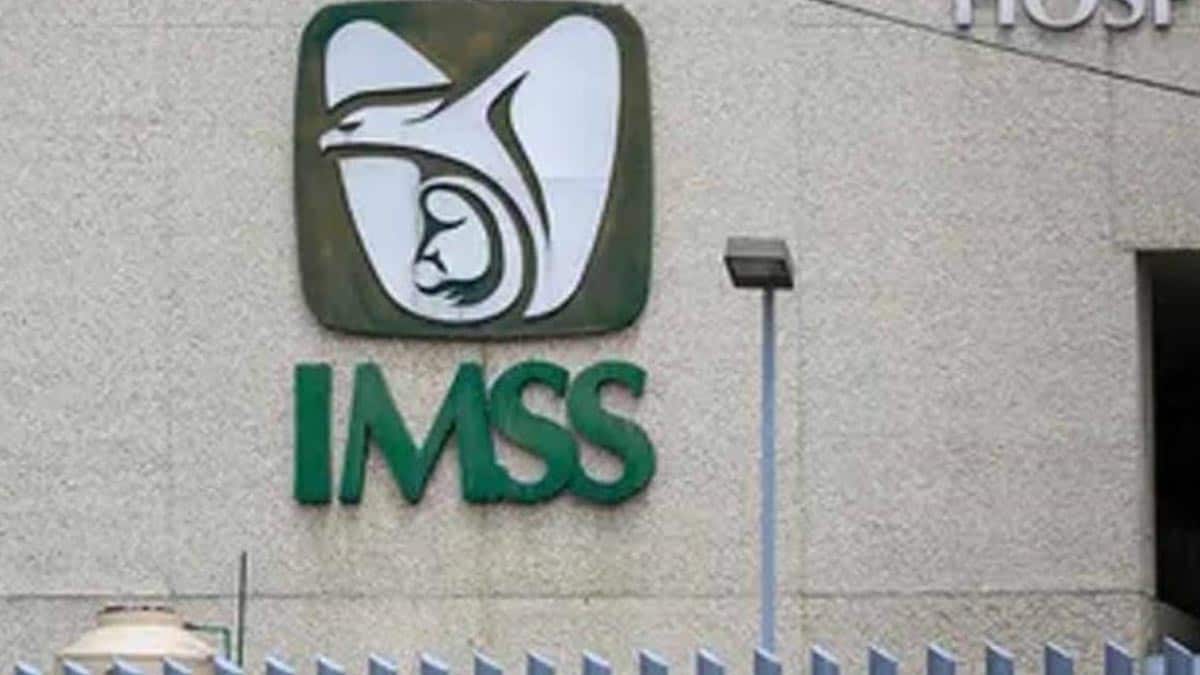 IMSS: ¿Cuántas personas puede asegurar un trabajador?