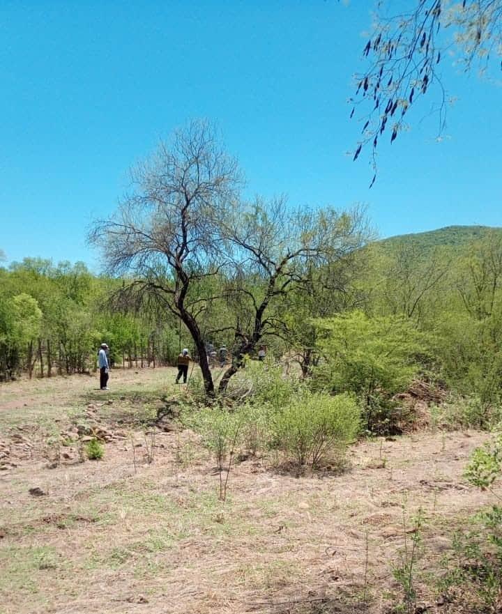 Retomarán búsqueda de Juan Crisóstomo Buitimea en Navojoa