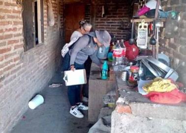 Llega rickettsia a Huatabampo