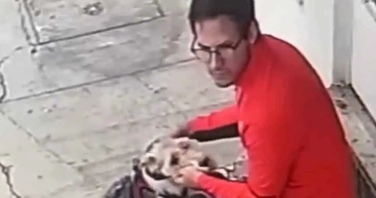 VIDEO | Sujeto es captado maltratando a un perrito