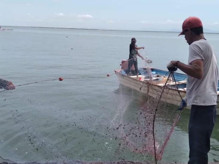 En el puerto pesquero de Yavaros pescadores se preparan para la captura del camarón En el puerto pesquero de Yavaros pescadores se preparan para la captura del camarón