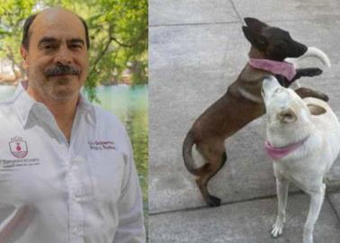 VIDEO | Alcalde michoacano mata a balazos a dos perritos y se justifica