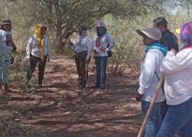 Búsqueda positiva en el Valle de Guaymas