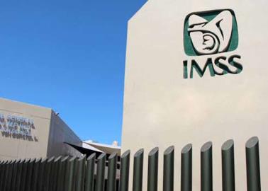 IMSS entregó contratos millonarios a empresa fantasma