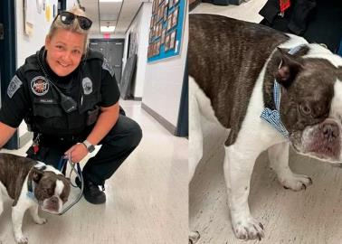 Dejó a su perro en el aeropuerto después de que no la dejarán abordar con él