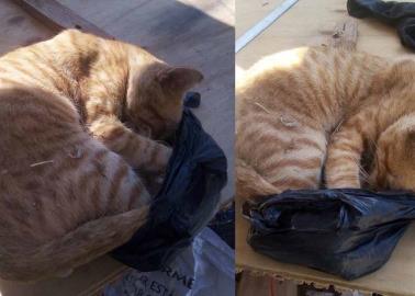 Piden justicia para "El G&uuml;erito"