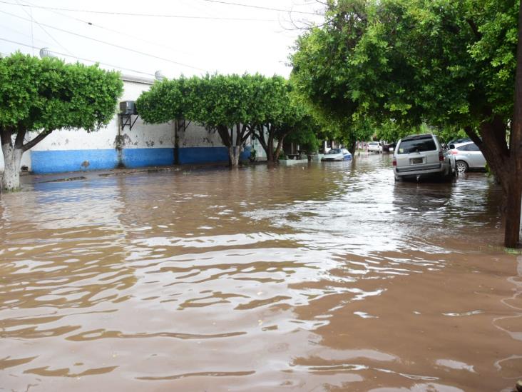 VIDEO | Por Hilary 48 personas se albergan en Cajeme VIDEO | Por Hilary 48 personas se albergan en Cajeme