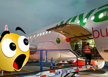 Viva Aerobús: Vuela a las playas mexicanas desde 45 pesos. Aquí las condiciones