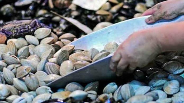 Cofepris alerta sobre mariscos provenientes del norte de México; están contaminados Cofepris alerta sobre mariscos provenientes del norte de México; están contaminados