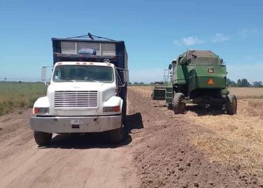 Adeudan trigueros a los transportistas